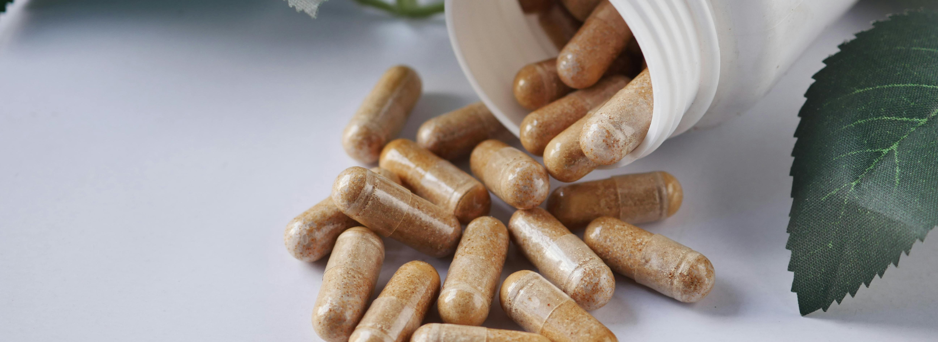 Delivered a scalable e-commerce platform for a Canadian wellness retailer