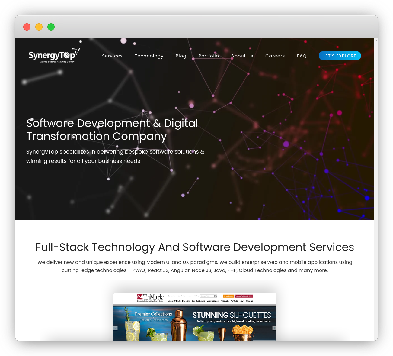 SynergyTop Inc-web dev agency