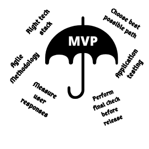 mvp process (1)