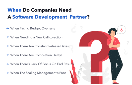 when companies choose software development partner